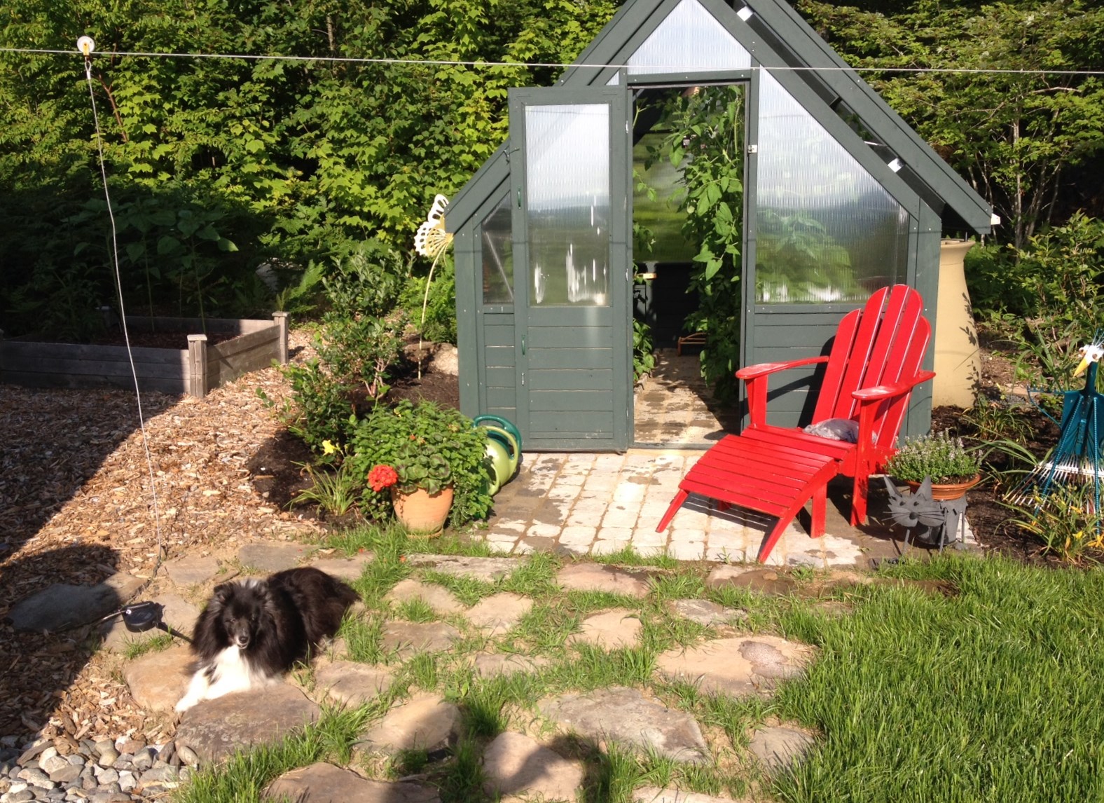 Freedom Greenhouses The Ultimate Backyard Hobby Greenhouse